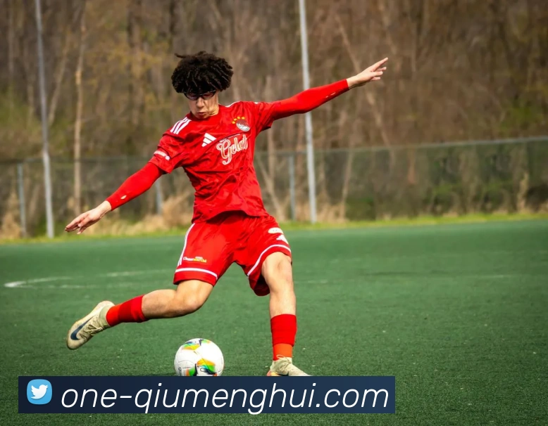 App Interface Preview