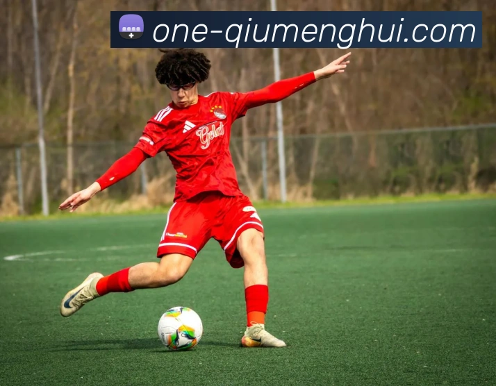 球盟会APP 封面图